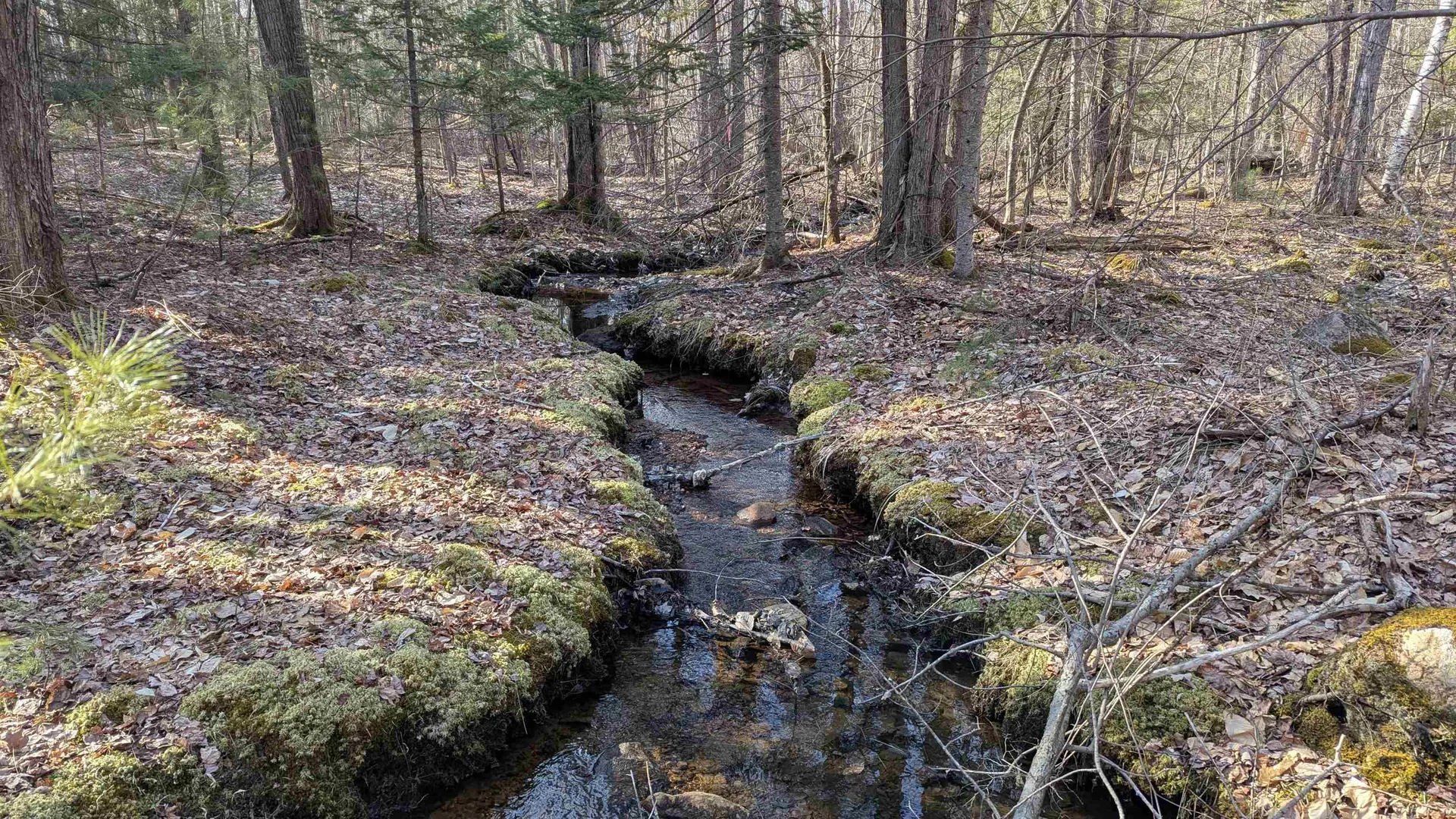 M 3 - L 15-2 Prospect Mountain Road Alton NH 03809