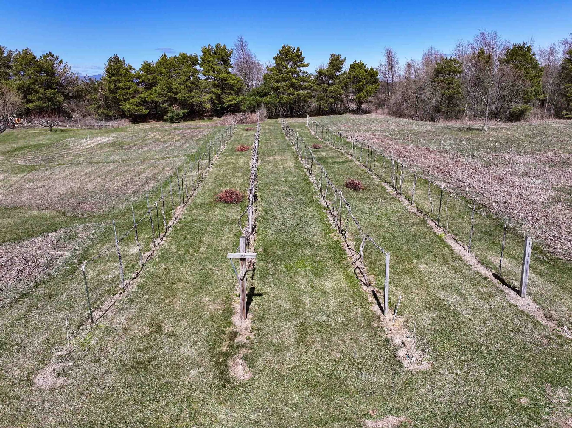 1434 Smith Street Shoreham VT 05770