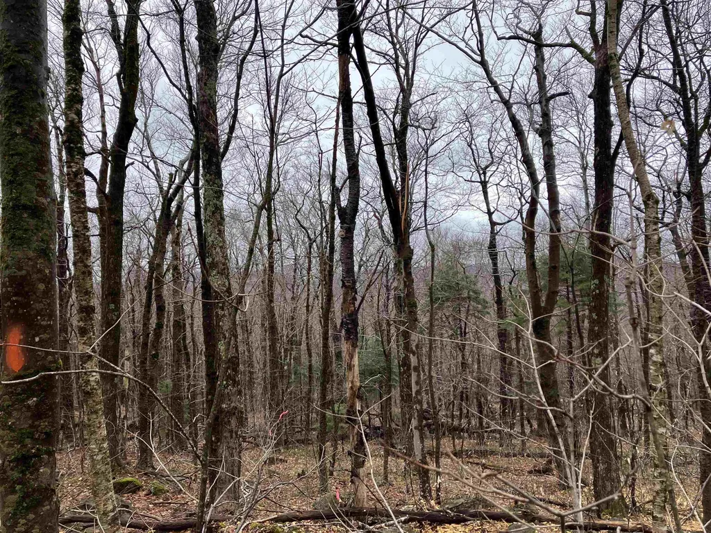 410 Fox Mount Road Wilmington VT 05363