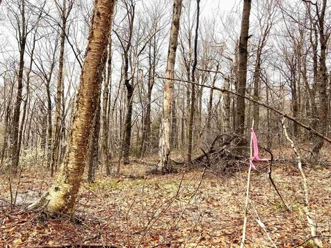 410 Fox Mount Road Wilmington VT 05363