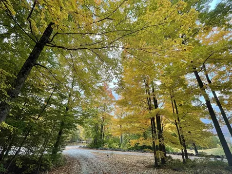 376 Windward Hill Dorset VT 05251