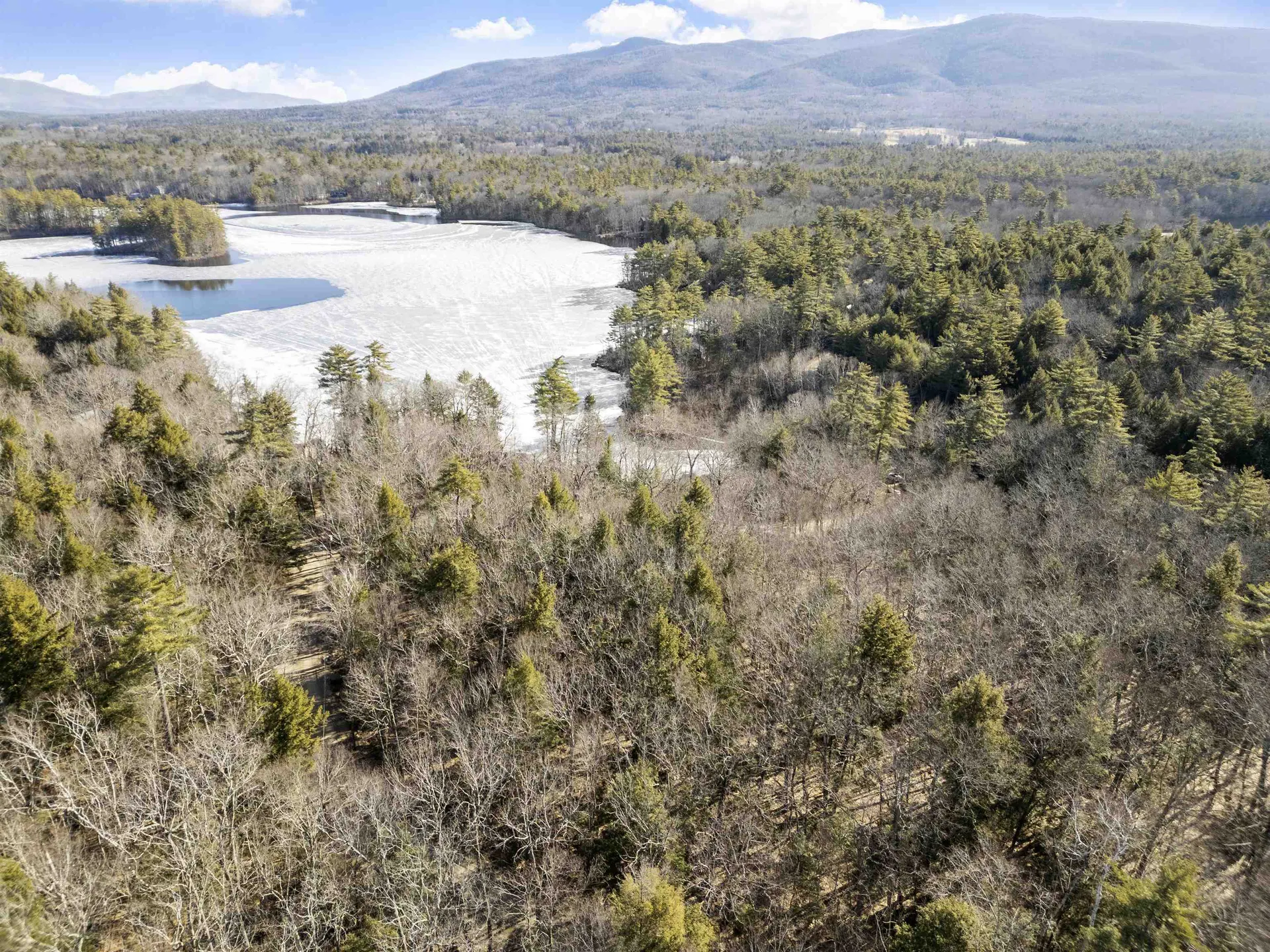 Moose Walk Moultonborough NH 03254