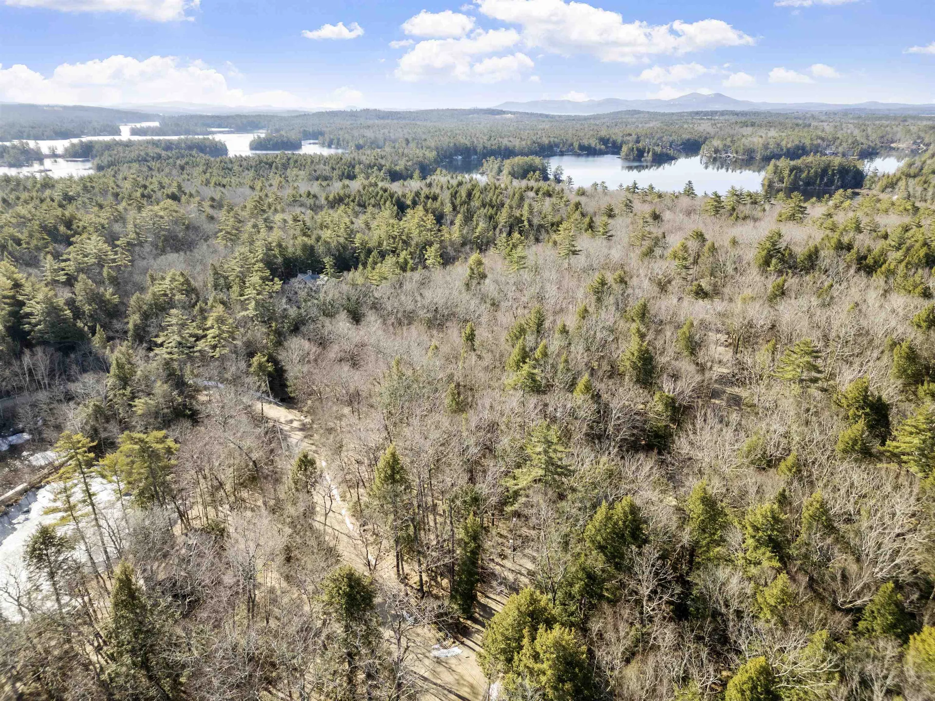 Moose Walk Moultonborough NH 03254