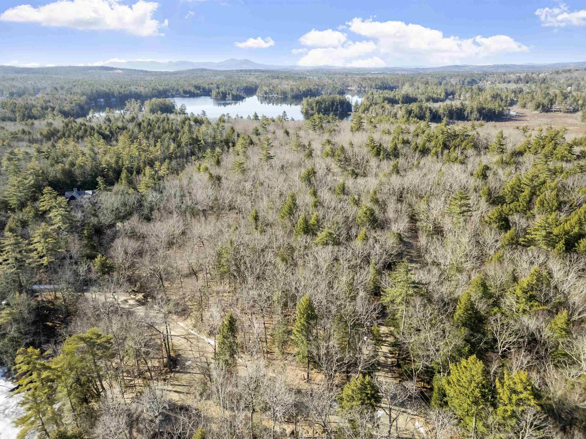 Moose Walk Moultonborough NH 03254