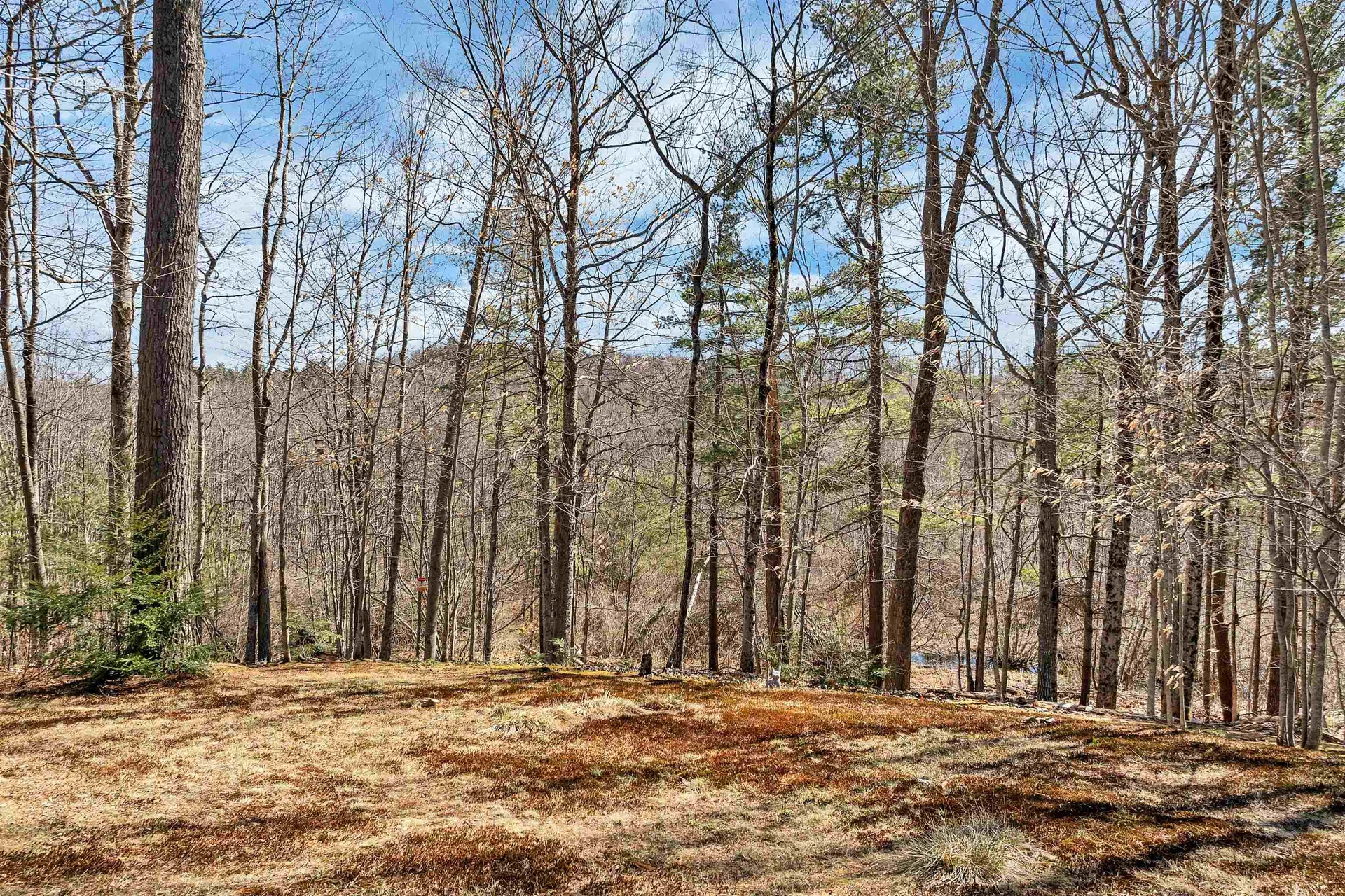 74 Mason Road Milton NH 03851