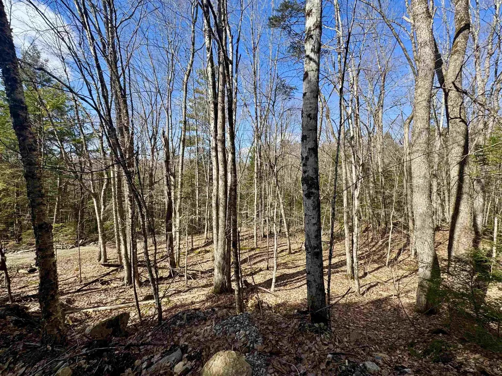 0 Skiway Terrace Haverhill NH 03774