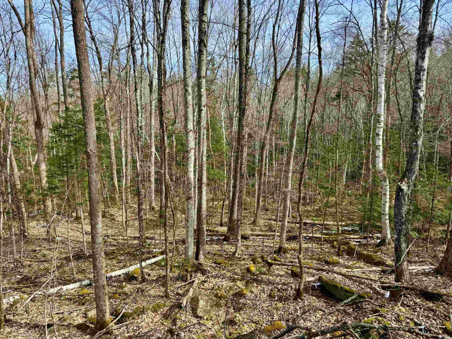 0 Skiway Terrace Haverhill NH 03774