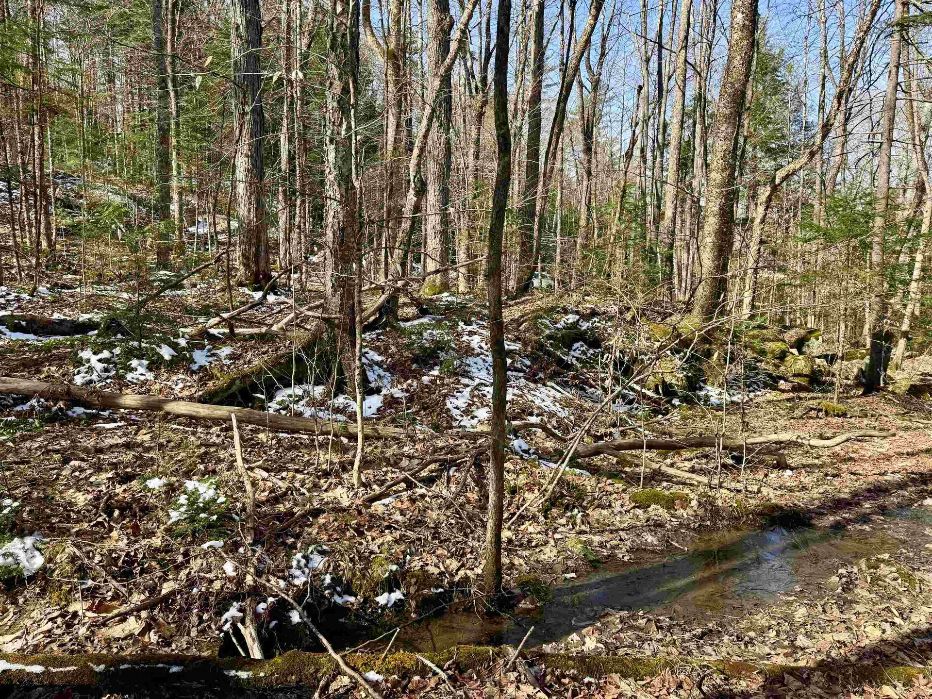 0 Skiway Terrace Haverhill NH 03774