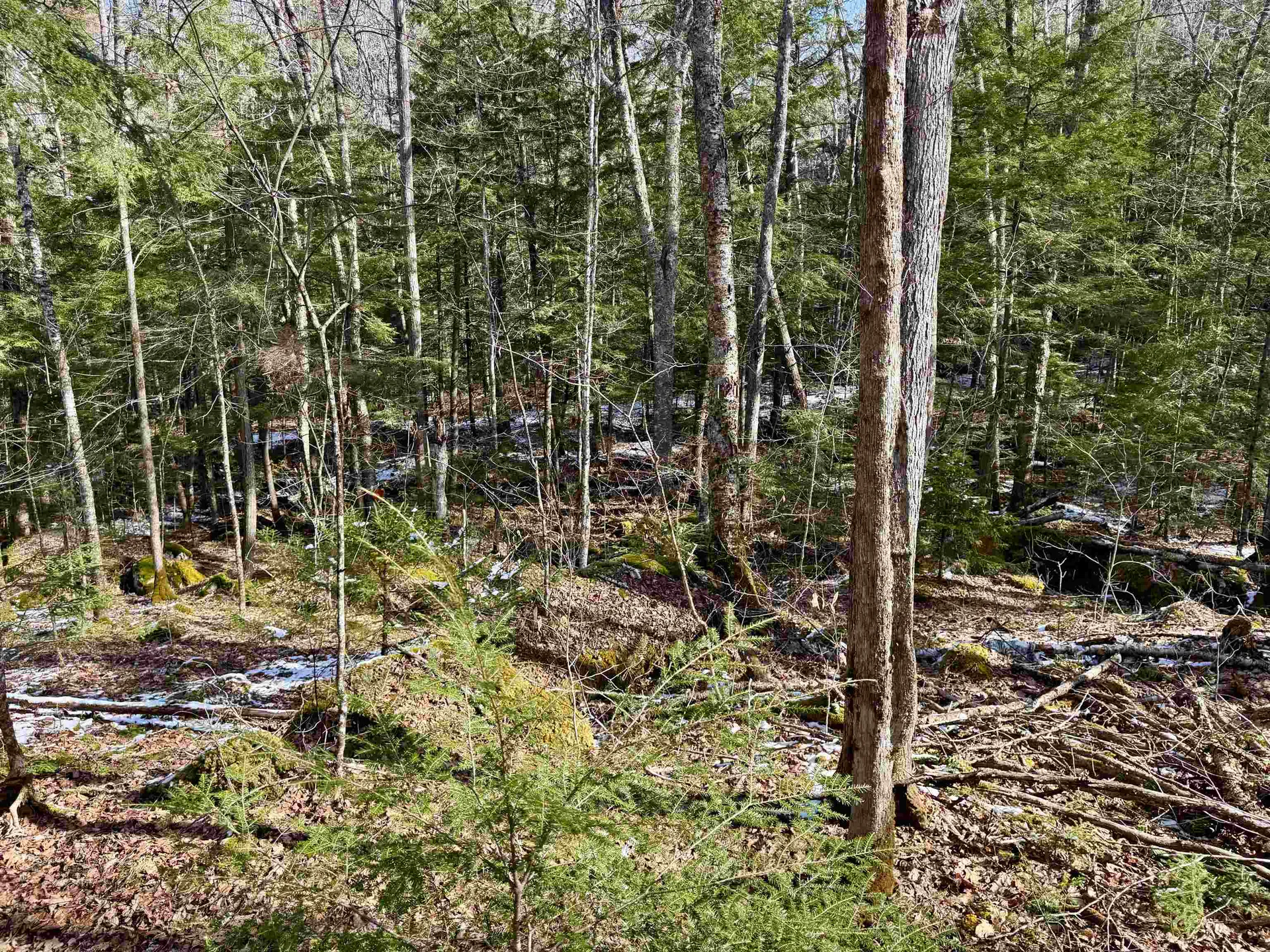 0 Skiway Terrace Haverhill NH 03774