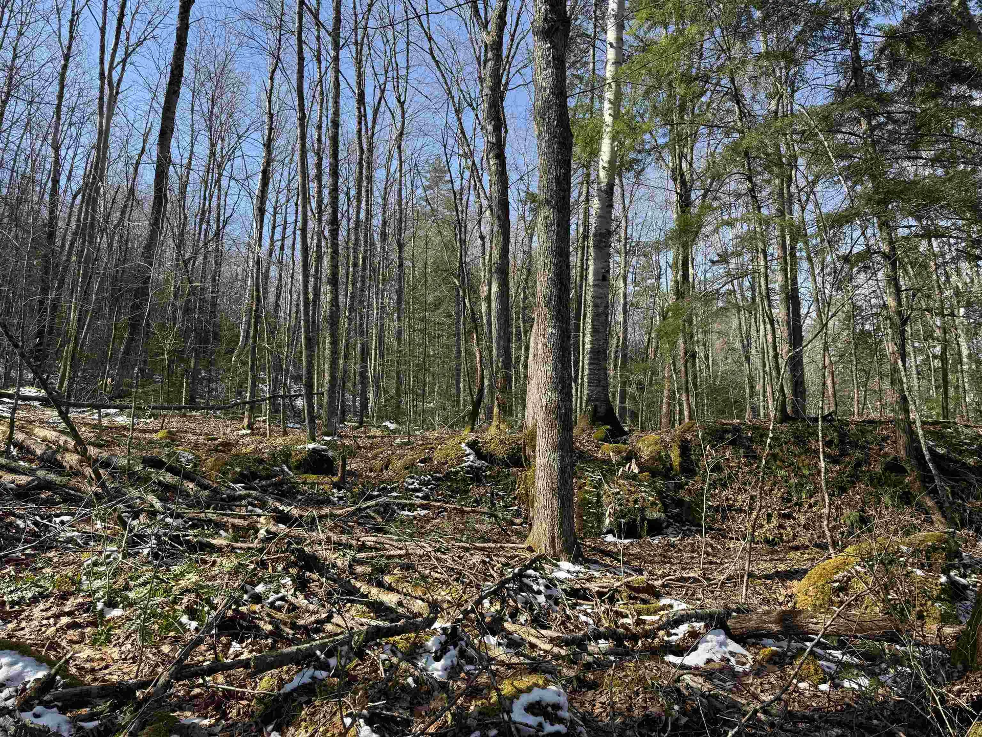 0 Skiway Terrace Haverhill NH 03774