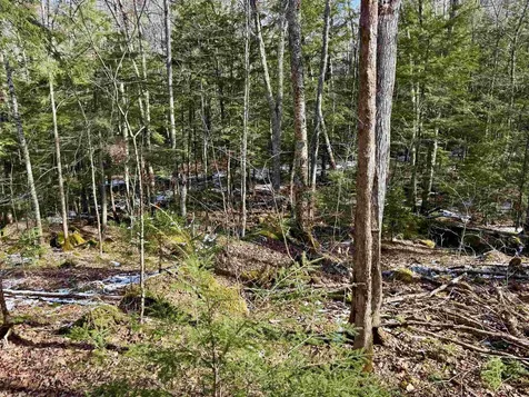 0 Skiway Terrace Haverhill NH 03774