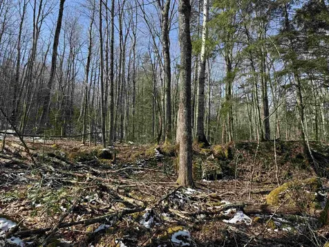 0 Skiway Terrace Haverhill NH 03774