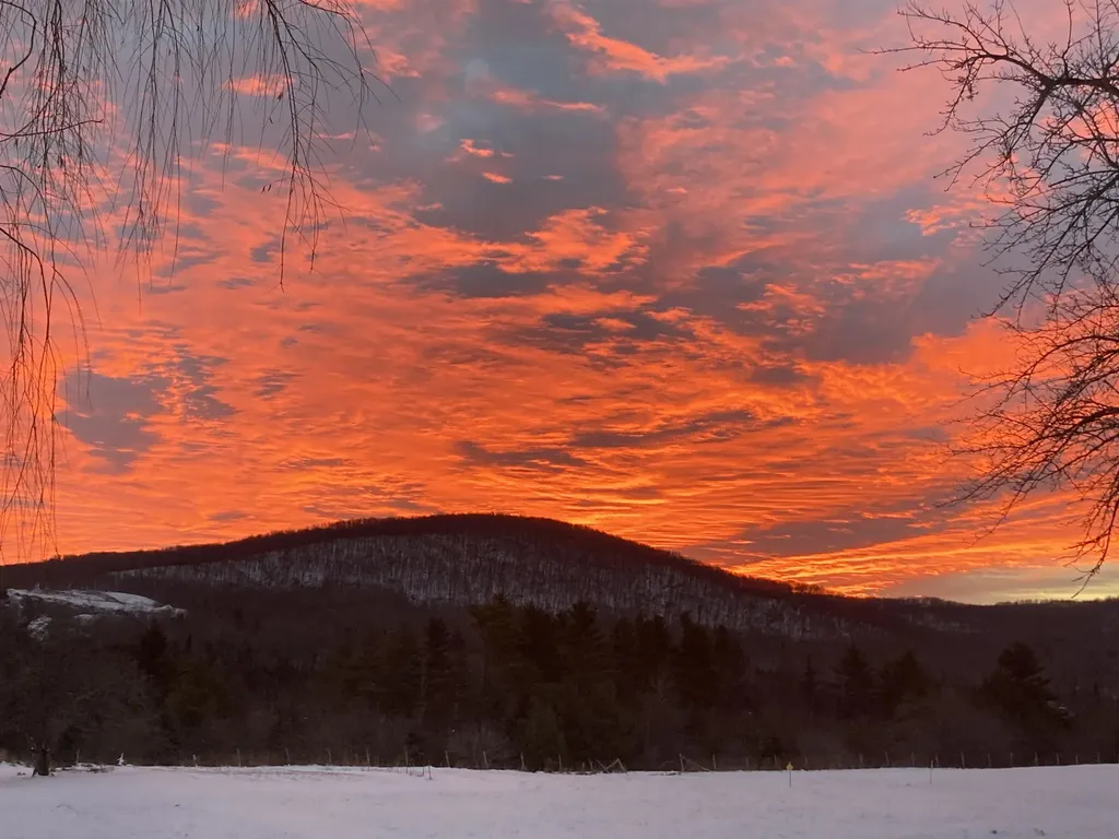 535 Simino Lane Irasburg VT 05845