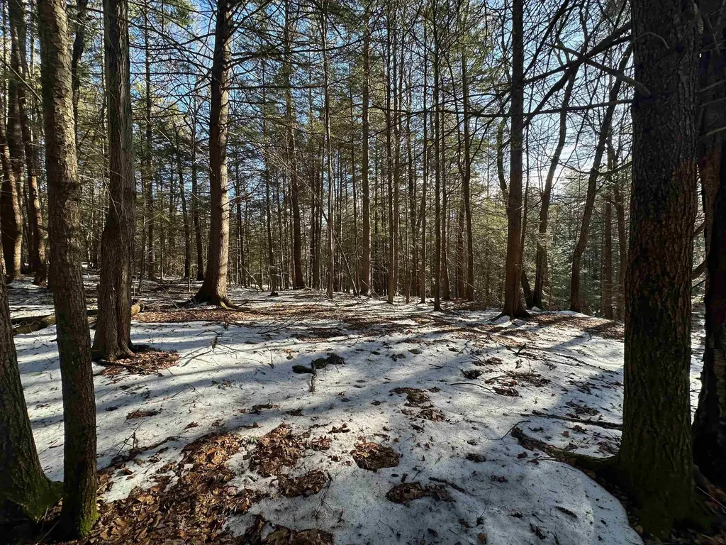 0 Skyline Drive Vernon VT 05354