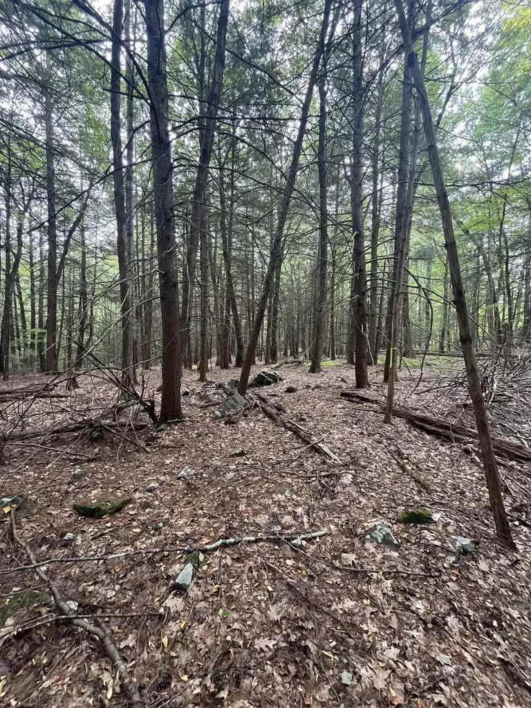 00 Skyline Drive Vernon VT 05354