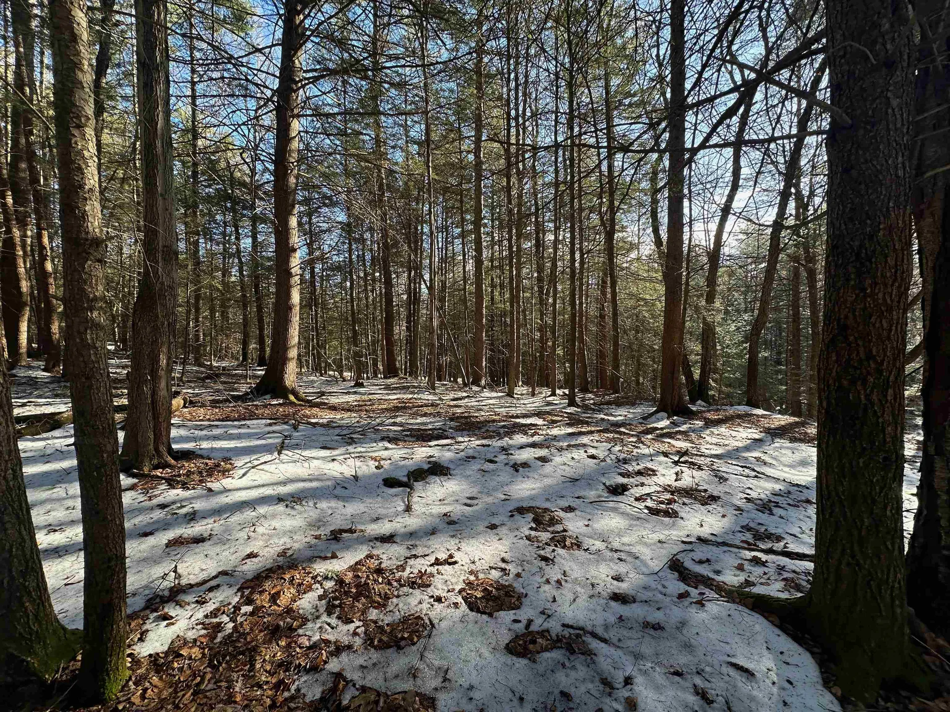 0 Skyline Drive Vernon VT 05354