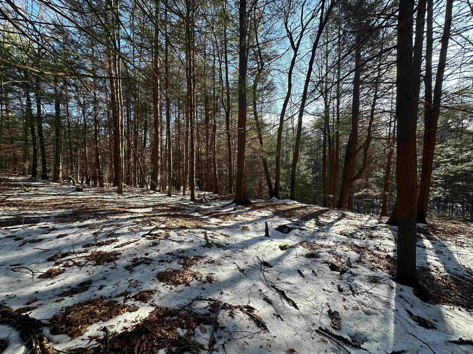 0 Skyline Drive Vernon VT 05354