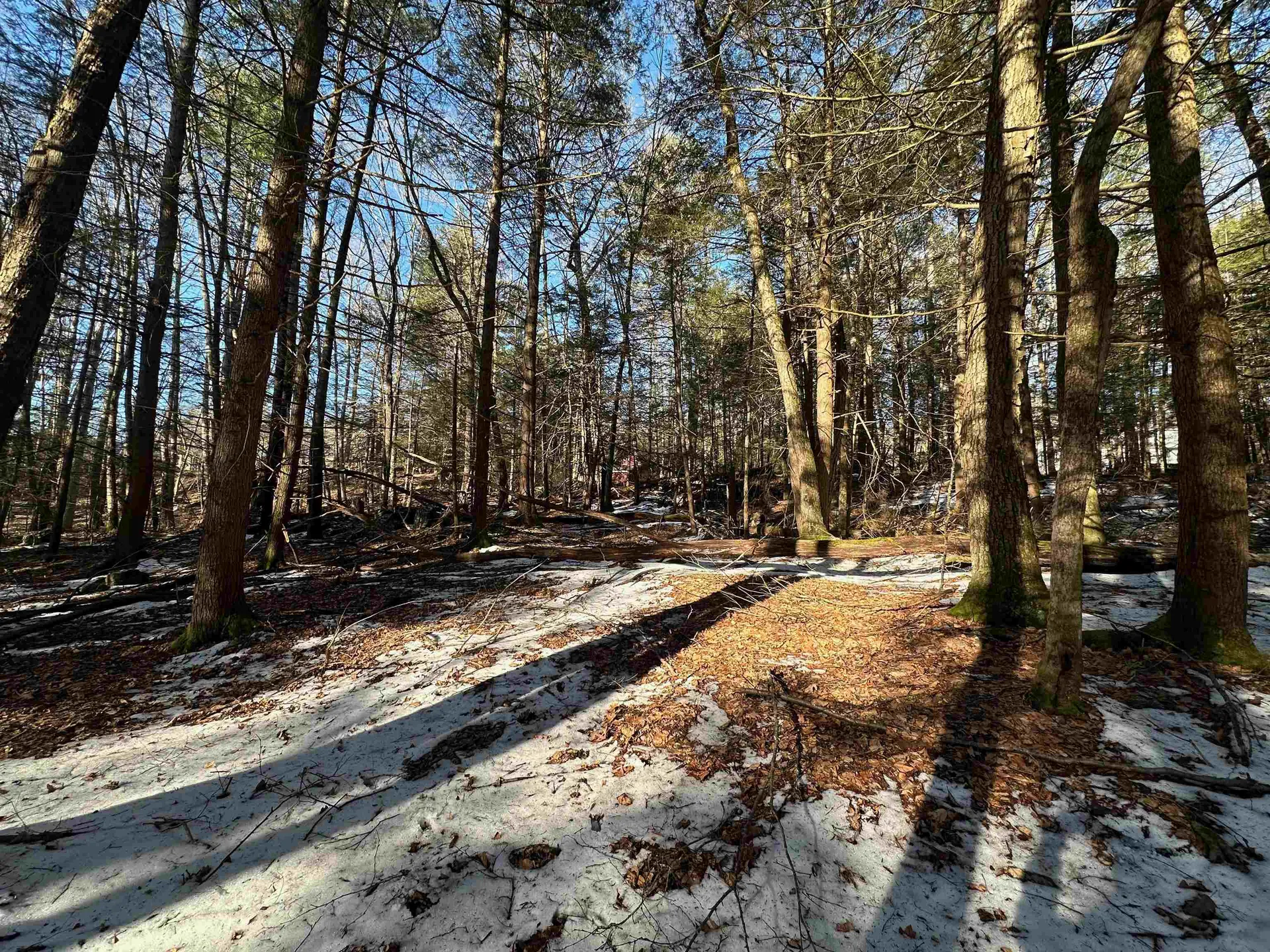 0 Skyline Drive Vernon VT 05354