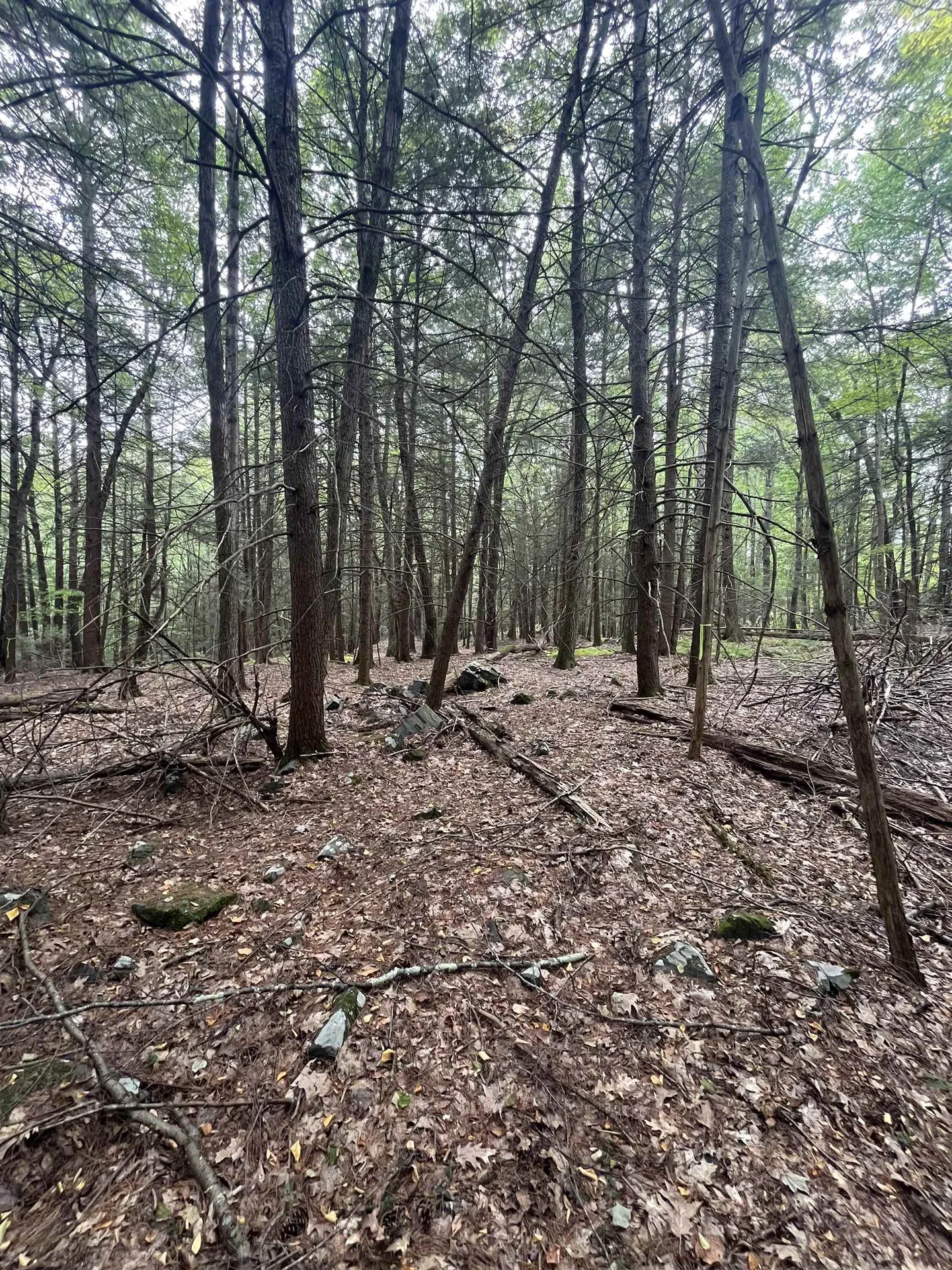 0 Skyline Drive Vernon VT 05354