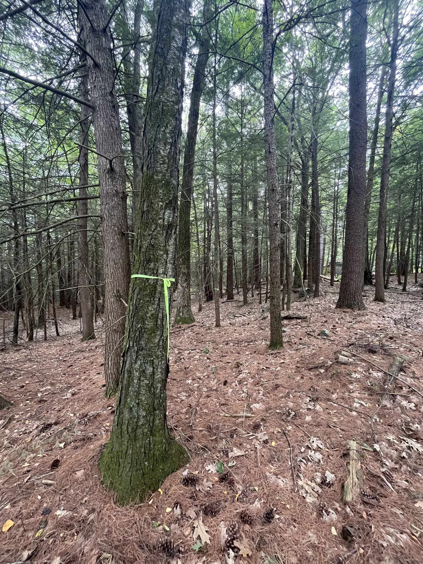 0 Skyline Drive Vernon VT 05354