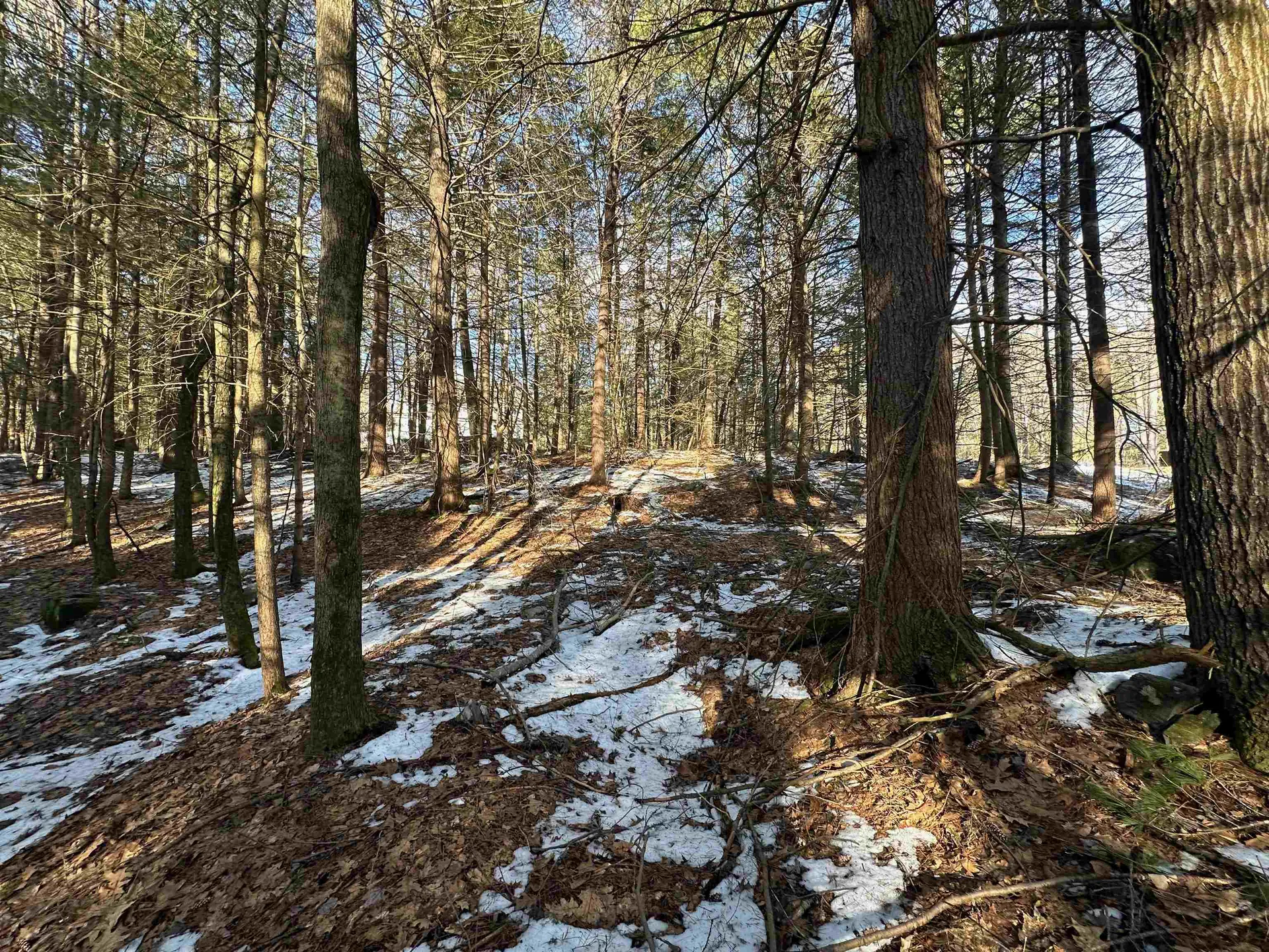 0 Skyline Drive Vernon VT 05354