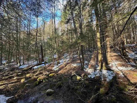 0 Skyline Drive Vernon VT 05354