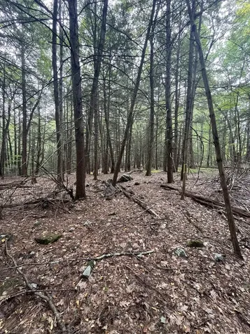 00 Skyline Drive Vernon VT 05354