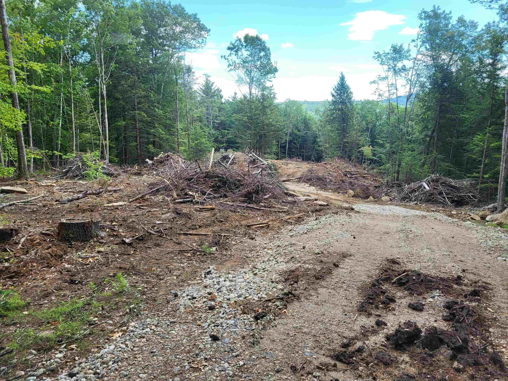 410-089-002 Eastern District Road Danbury NH 03230