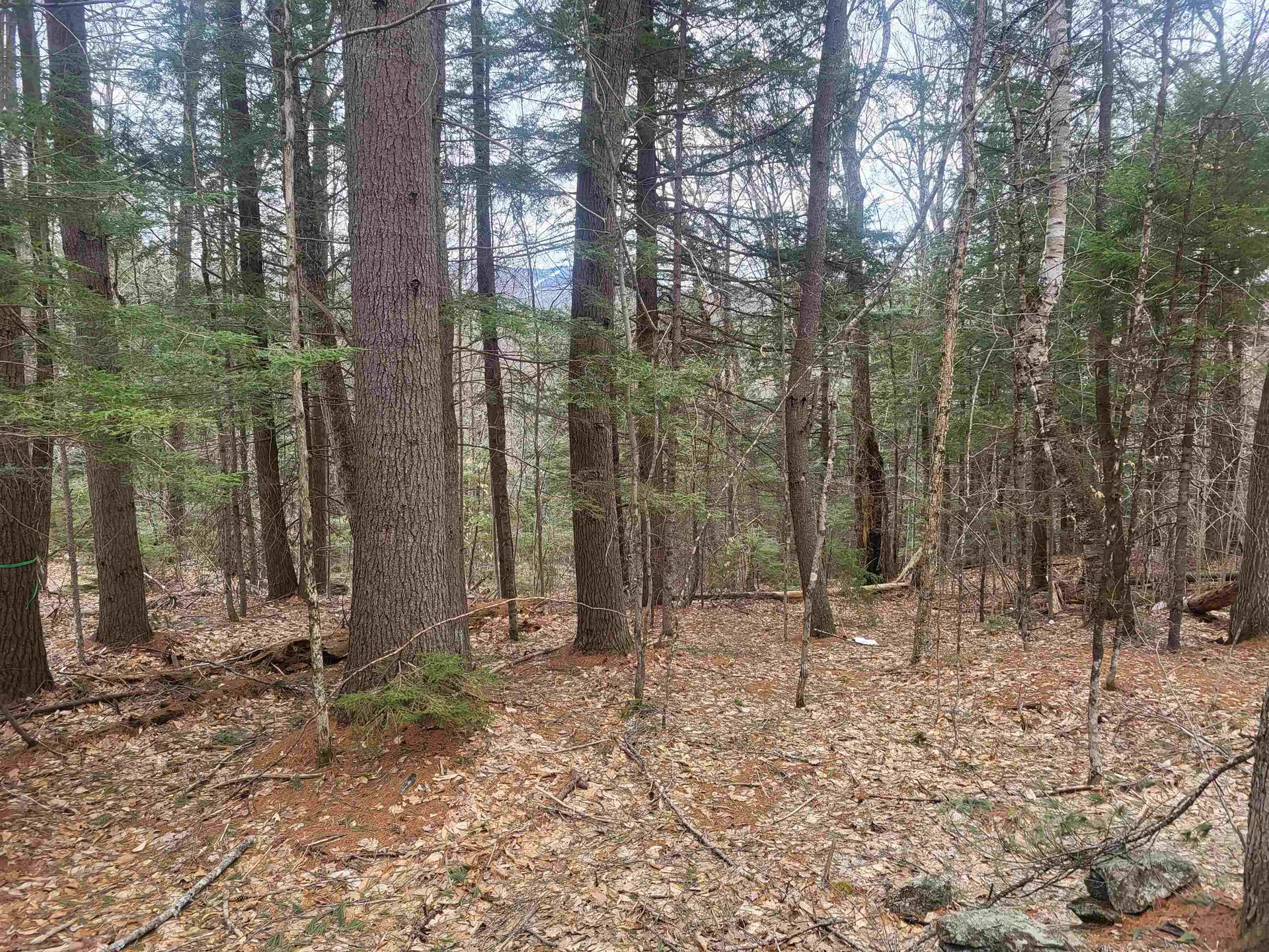 410-089-002 Eastern District Road Danbury NH 03230