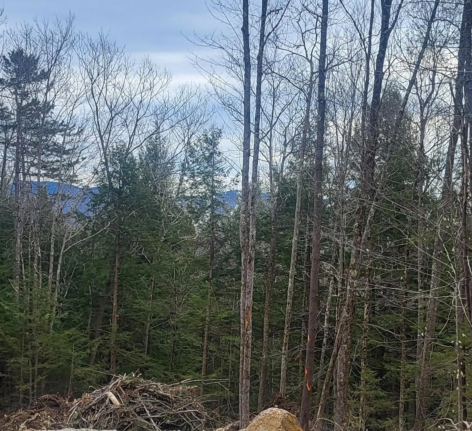 410-089-002 Eastern District Road Danbury NH 03230