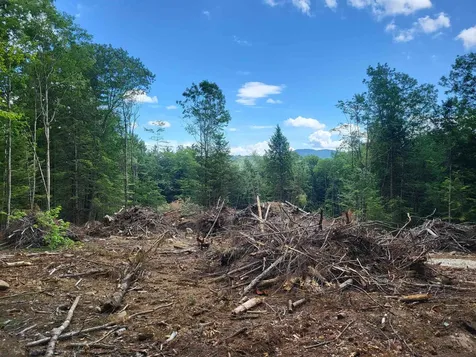 410-089-002 Eastern District Road Danbury NH 03230