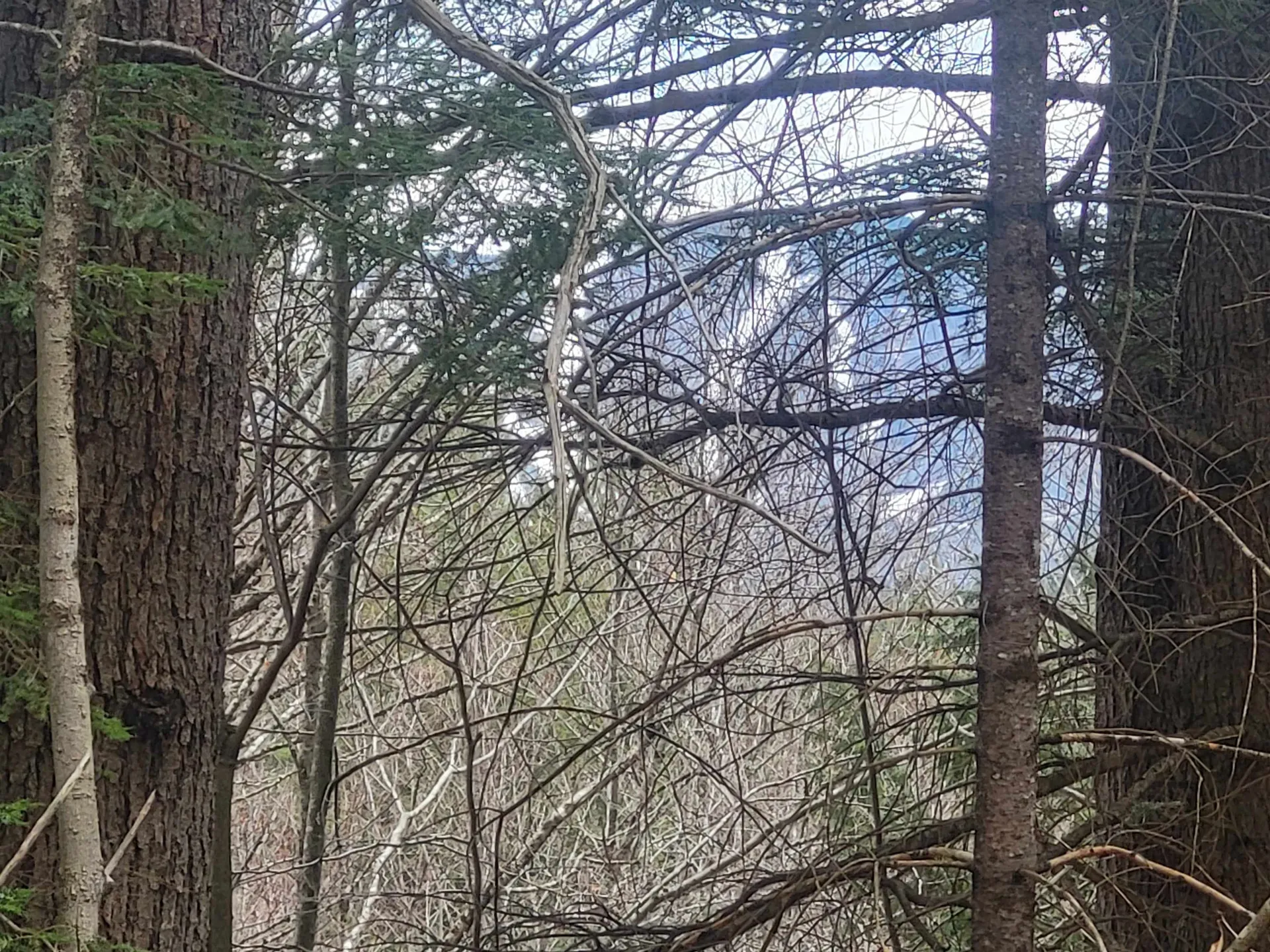 410-089-001 Eastern District Road Danbury NH 03230