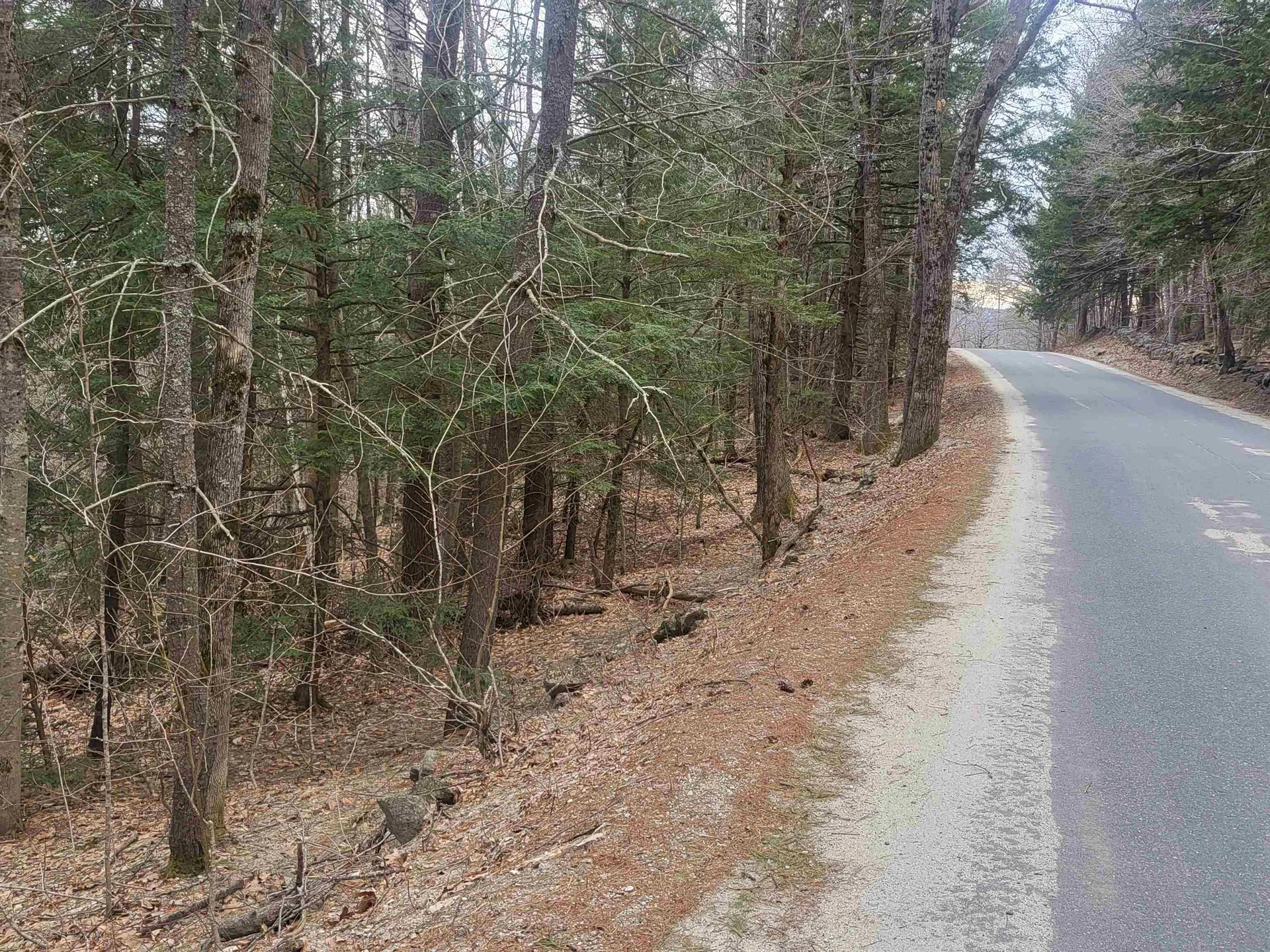 410-089-001 Eastern District Road Danbury NH 03230