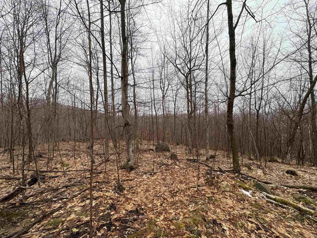 2730 Farrar Road Newport Town VT 05857