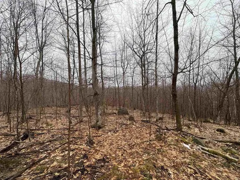 2730 Farrar Road Newport Town VT 05857