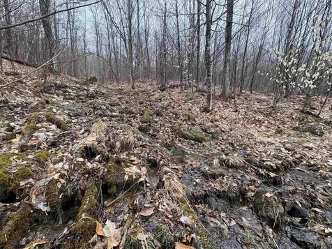2730 Farrar Road Newport Town VT 05857