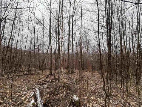2730 Farrar Road Newport Town VT 05857