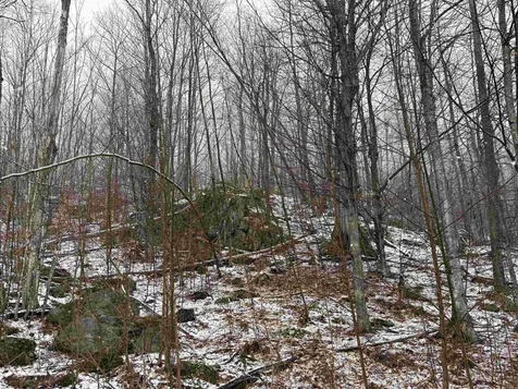 2730 Farrar Road Newport Town VT 05857