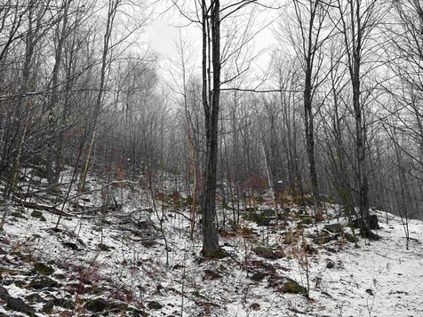 2730 Farrar Road Newport Town VT 05857