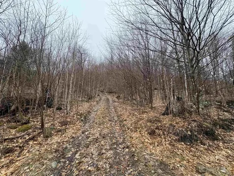 2730 Farrar Road Newport Town VT 05857