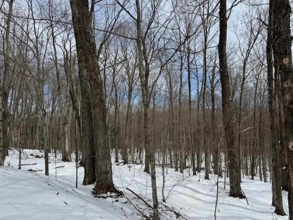 00 Westhill Road Montgomery VT 05470