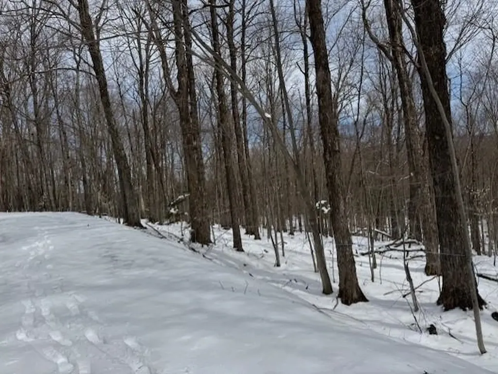 00 Westhill Road Montgomery VT 05470