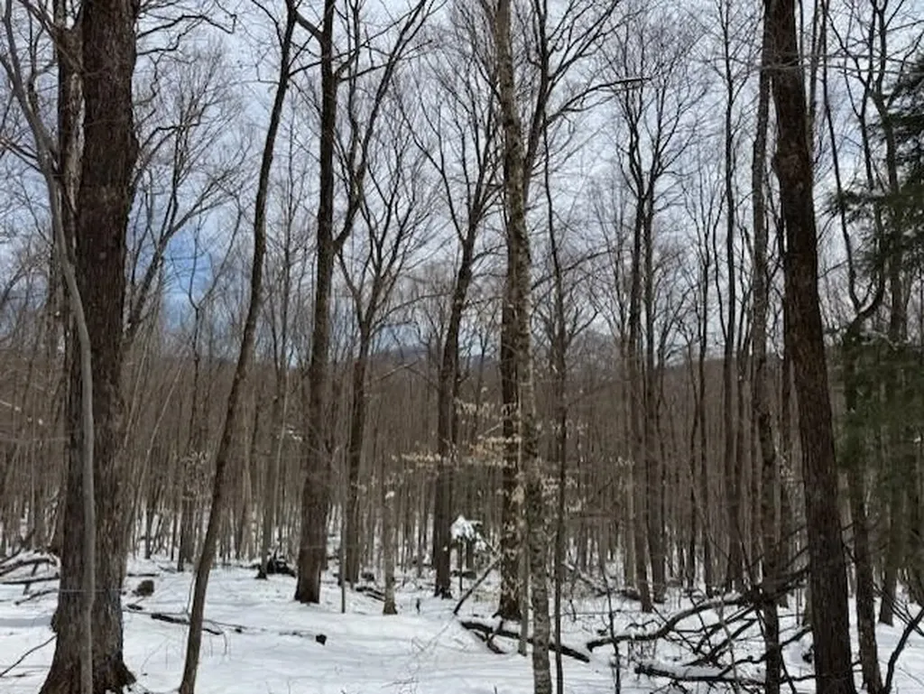 00 Westhill Road Montgomery VT 05470