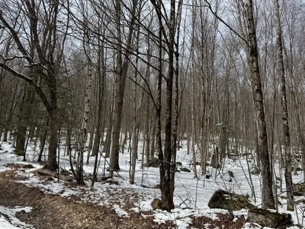 00 Westhill Road Montgomery VT 05470