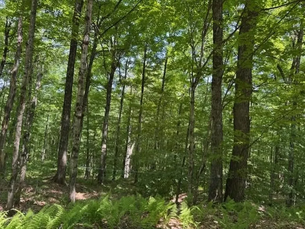 00 Westhill Road Montgomery VT 05470