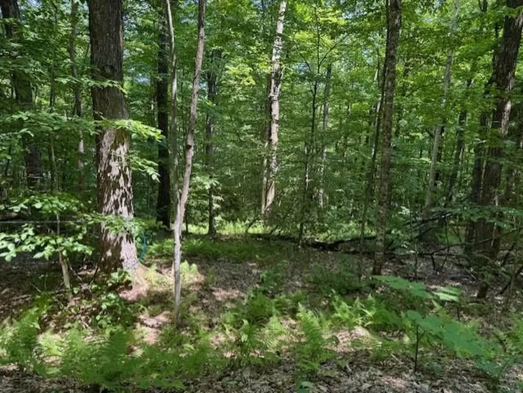 00 Westhill Road Montgomery VT 05470