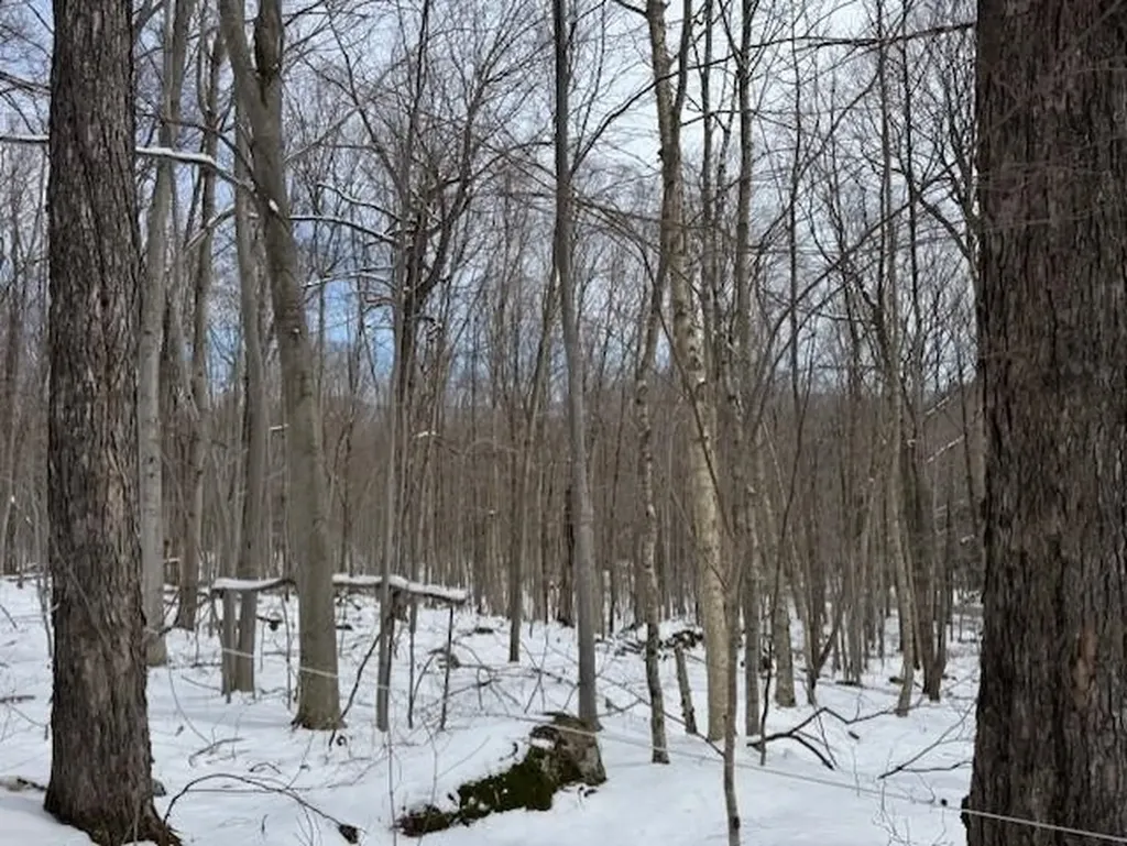 00 Westhill Road Montgomery VT 05470