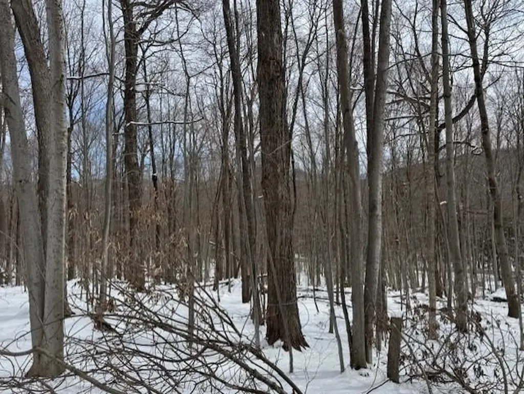 00 Westhill Road Montgomery VT 05470