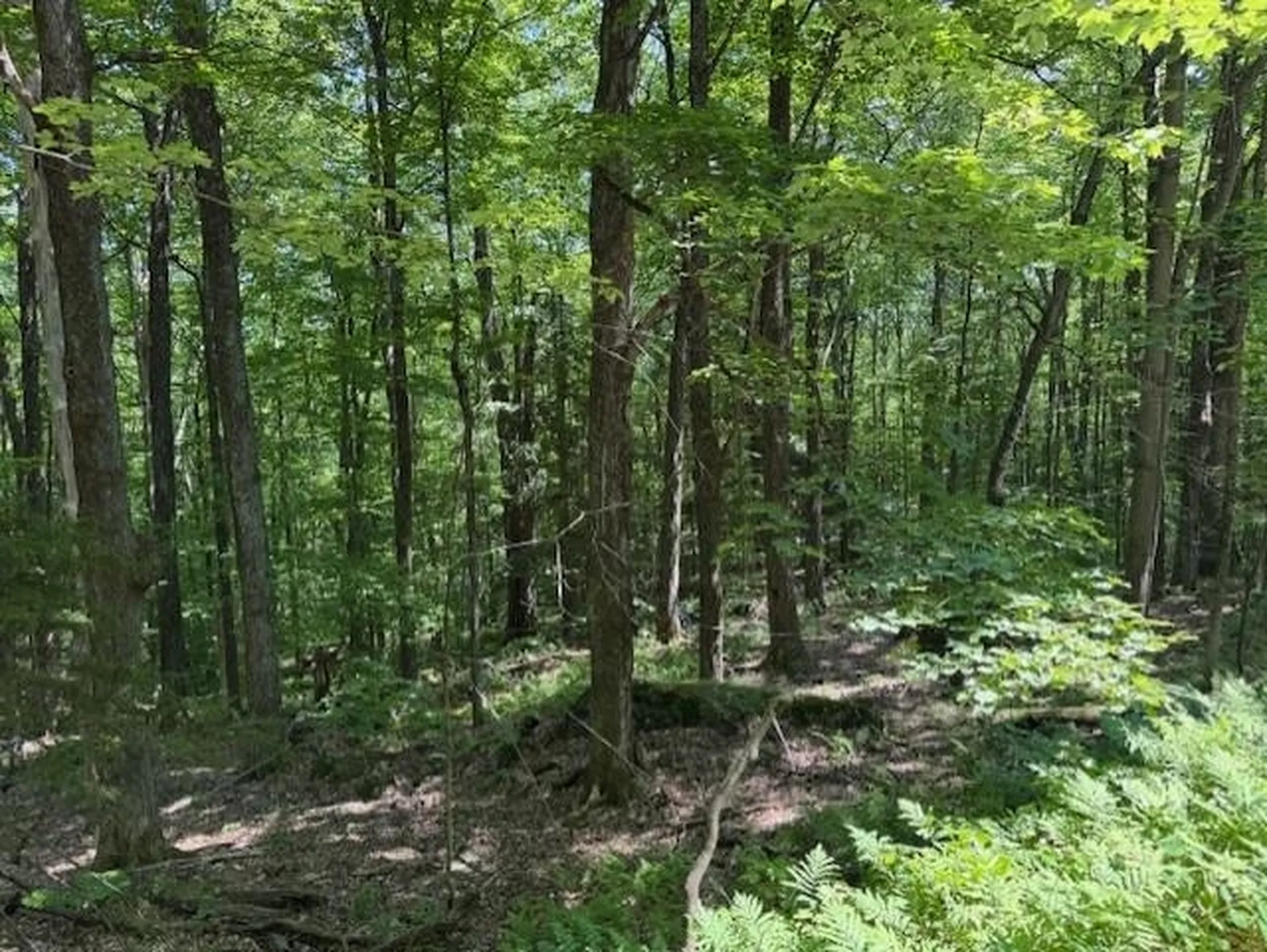 00 Westhill Road Montgomery VT 05470