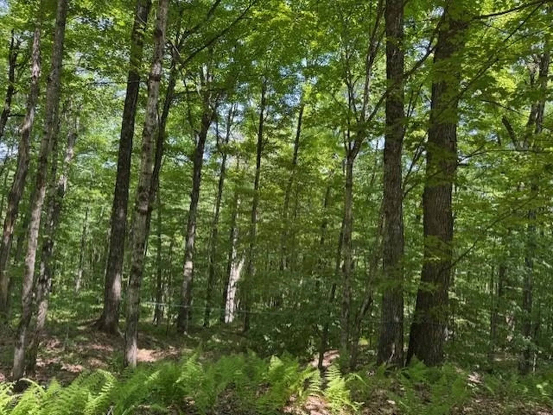 00 Westhill Road Montgomery VT 05470